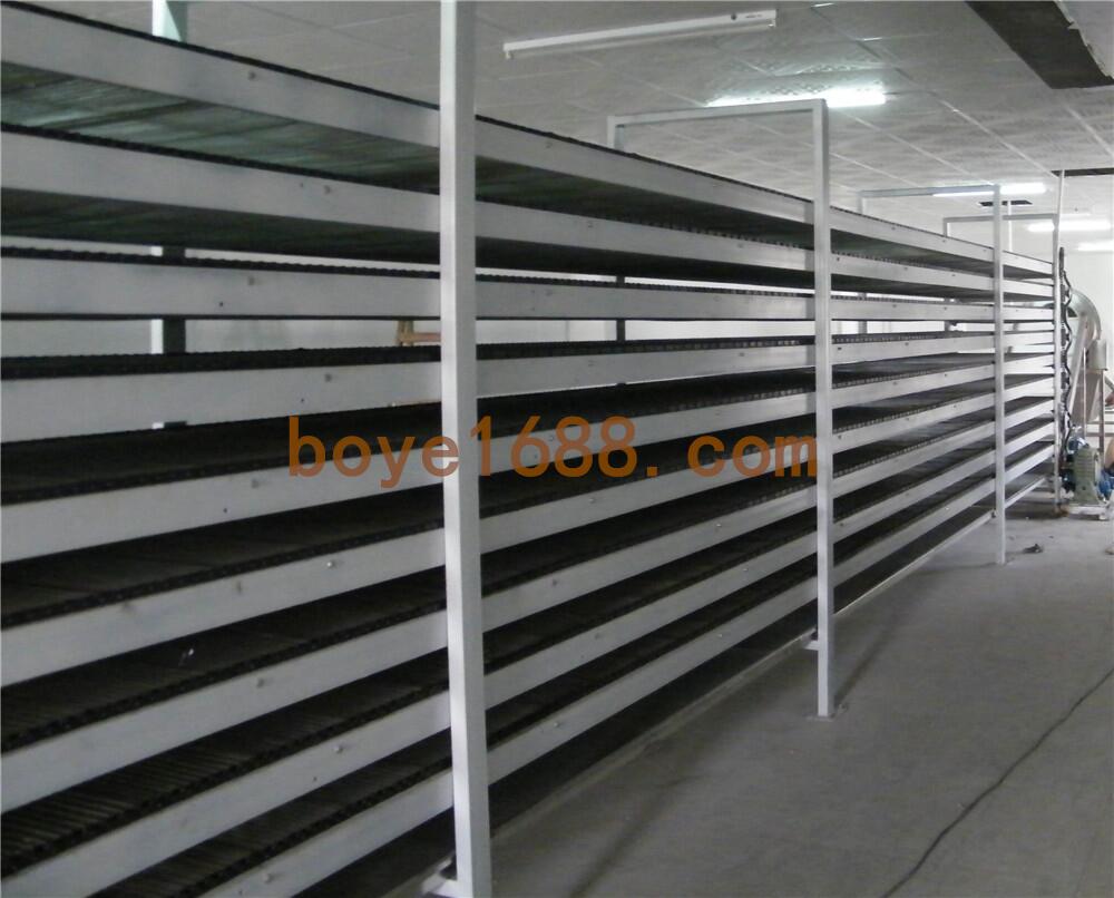 grilled-chicken-gizzards